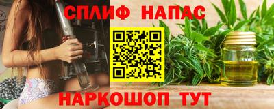 мяу мяу мука Гулькевичи