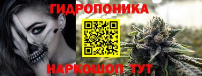 мяу мяу мука Гулькевичи