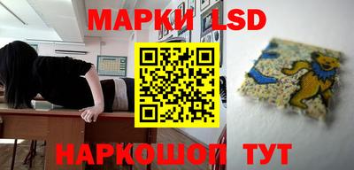 мяу мяу мука Гулькевичи