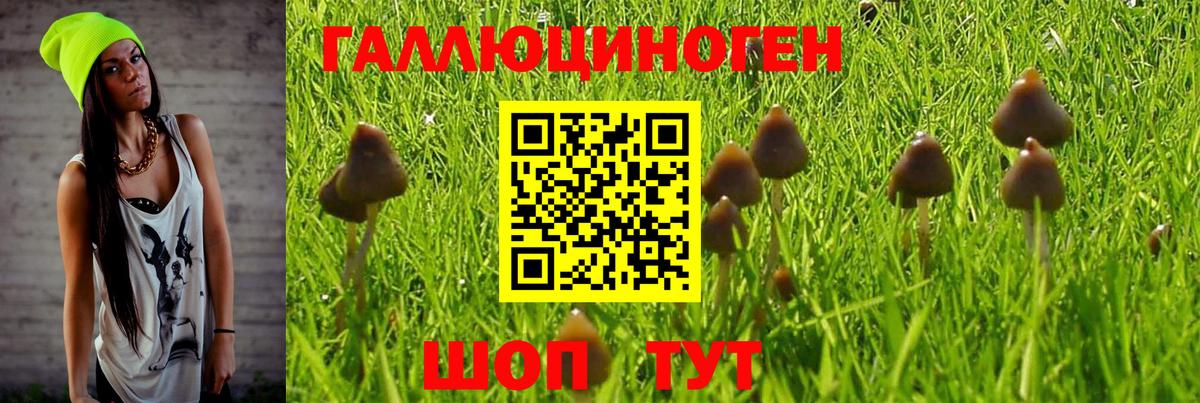 Орехово-Зуево  Псилоцибиновые грибы MAGIC MUSHROOMS  купить наркоту  Вход с VPN 